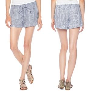 Splendid Blue Stripe Rayon Voile Shorts Size S